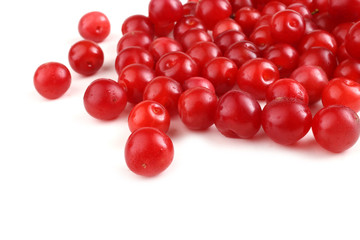 Nanking cherry isolated on white