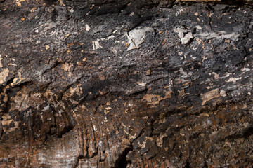 Aged wood with cracks, checks and splits. Wooden textured background