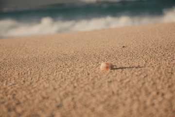 Sandy grain