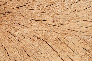 Fototapeta premium Abstract background like slice of wood timber natural.