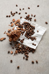 Pine nuts in shell and cone on gray background