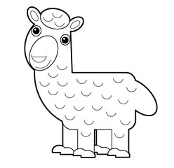 cartoon sketchbook scene with american animal alpaca on white background illustration