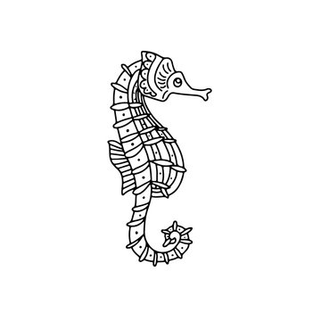 Hand drawn doodle decorative black  vector illustration seahorse  isolated on white background. Beautiful sea design  for child coloring book, page, card, tattoo, logo, print, banner