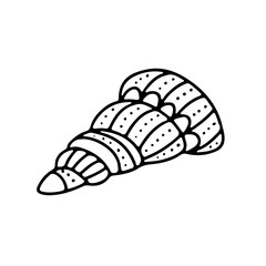 Hand drawn beautiful mollusk sea shells, doodle style vector illustration isolated on white background. Simple sea shell pattern for coloring book, page, card, print, textile, t-shirt, banner