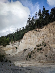 mina de roca en bosque 