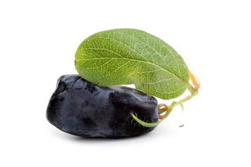 Honeysuckle berry (honeyberry, haskap)