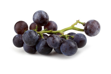 Black wine grape