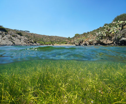 Peaceful Mediterranean cove with sea grass underwater, split view over and under water surface, Spain, Costa Brava, Cap de Creus, Cadaques, Cala Jonquet, Catalonia