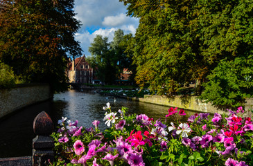 Fototapeta na wymiar Bruges, Belgium. August 2019. View towards the historic center from the bridge with the Sashuis lock. A planter frames the canal that leads the gaze towards the city. Large green foliage on the sides.