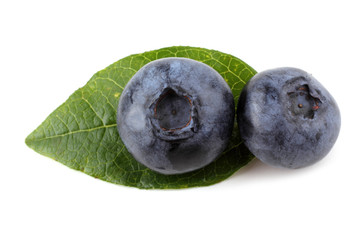 Blueberries and leaf