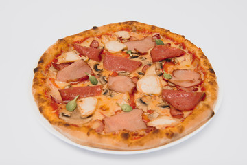 whole pizza with different meat toppings