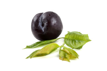 Black plum and leaves