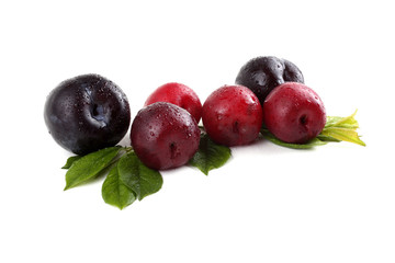 Plums and leaves