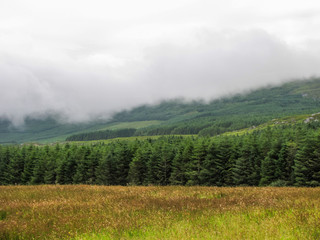 Irish Landscape, Mist Descending, Beara Peninsula, Cork County