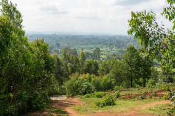 Lush vegetation of southern Ethiopia © Glen