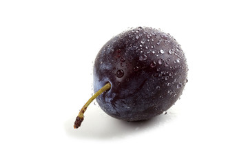 Black plum