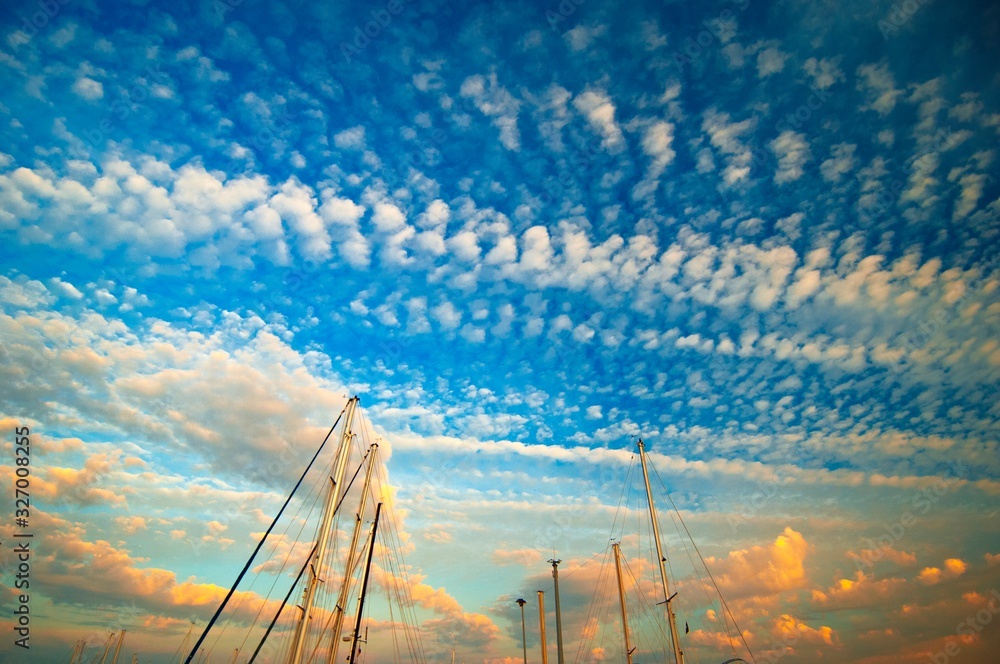 Wall mural boat