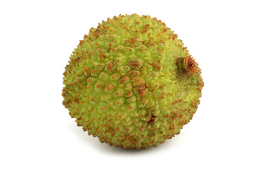 Lychee
