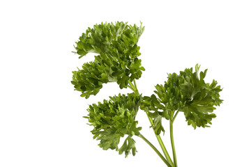 Parsley