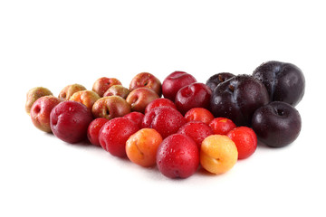 Group of plums