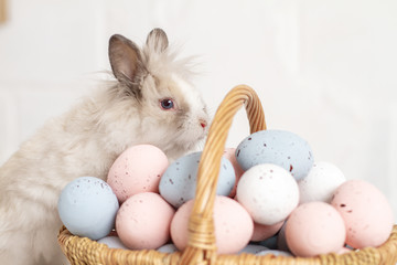 Easter bunny sits near a basket with pastel flowers Easter eggs. Religious spring holiday.