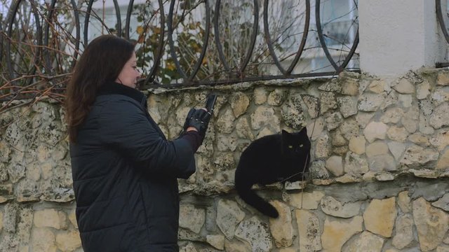 Woman takes photo on the phone of a black cat who sits on a stone fence
