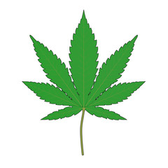 Medical Marijuana or Cannabis Hemp Leaf in Sketch and Toon Style. 3d Rendering