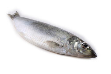 Herring isolated on white