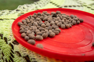 Dried coffee cherries