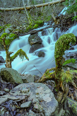 Leśny strumyk zmieniający się w wodospad