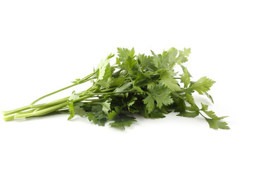 Parsley isolated on white