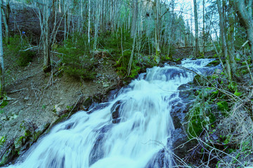 Leśny strumyk zmieniający się w wodospad