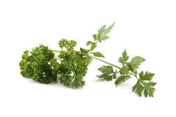 Parsley isolated on white