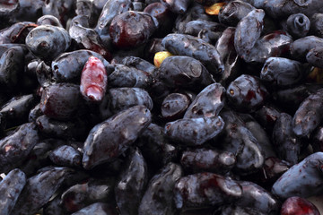 Honeysuckle berries background (honeyberry, haskap)