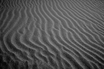 sand in the Netherlands