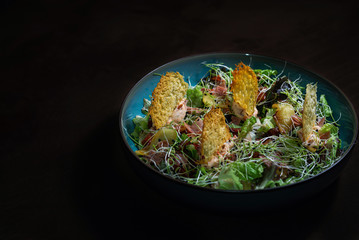 diagonal view of a salad with organic products, apple, lettuce, tomatoes and onion sprouts, healthy and Mediterranean style, on a dark still life background