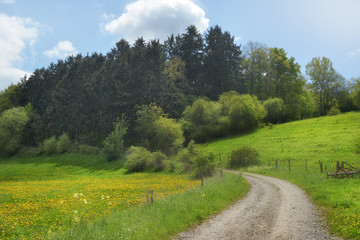 Eifel in Deutschland im Frühling