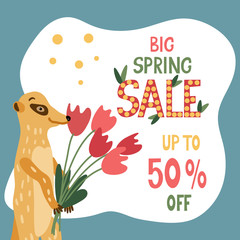 Big spring sale lettering with an adorable meerkat holding red tulips. Discount template 50% off or up to for shops. Social media square format. Vector illustration isolated on white.