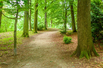 Obraz premium Majestic Park in Munich, Germany.