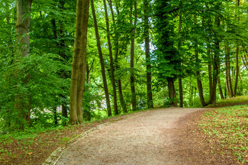 Majestic Park in Munich, Germany.