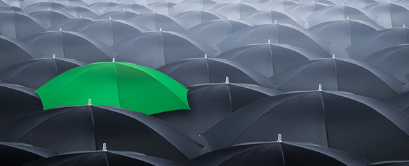 Fototapeta Different and standing out of the crowd umbrella. Concept of leader. obraz