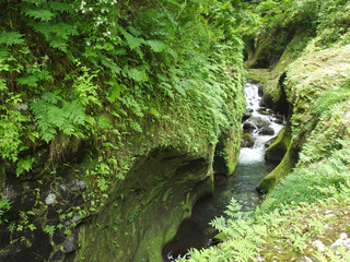 【宮崎県高千穂町 日本の観光名所】神話の息づく聖地・高千穂峡