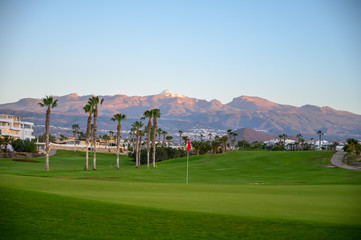 View on evergreen grass field on large golf course 