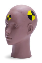 Crash Dummy Head