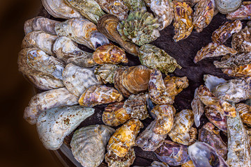 Bunch of empty  marine oyster shells on a barrel for decoration. Textural background, copy space for text.