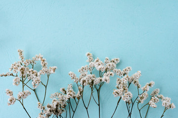 Floral layout with a lot of tiny white flowers on pale blue toned background with copy space,...