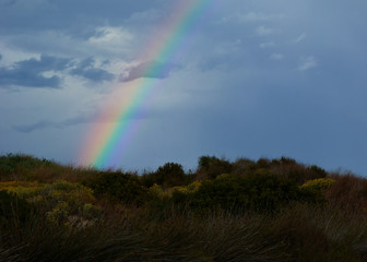 Rainbow appearing behind nature after the storm