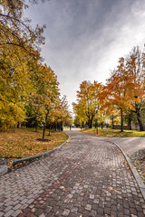 Park in the autumn.