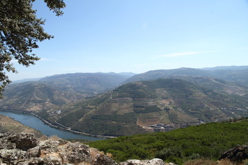 Fototapeta na wymiar rio Douro