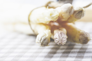 Spargel, Nahaufnahme, Asperagus, Frühling frisch in der Küche. 